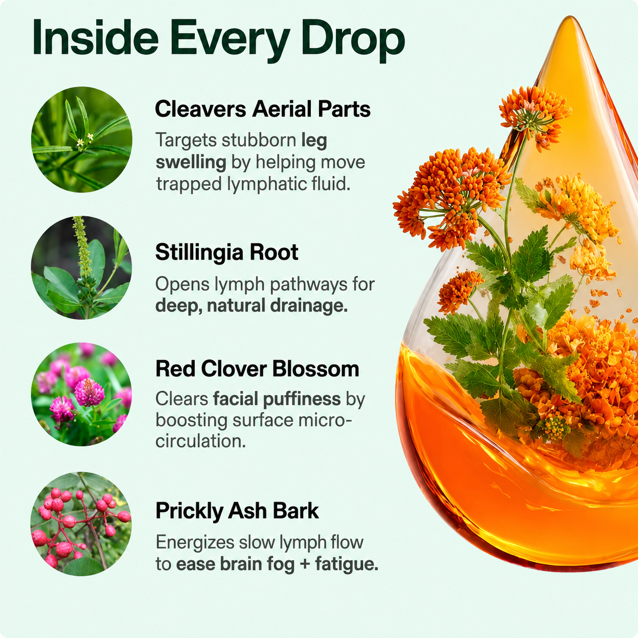 Lymphatic Drainage